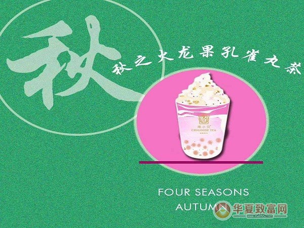 南小贝加盟
